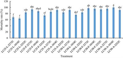 Synergic effects of some plant-derived essential oils and Iranian isolates of entomopathogenic fungus Metarhizium anisopliae Sorokin to control Acanthoscelides obtectus (Say) (Coleoptera: Chrysomelidae)